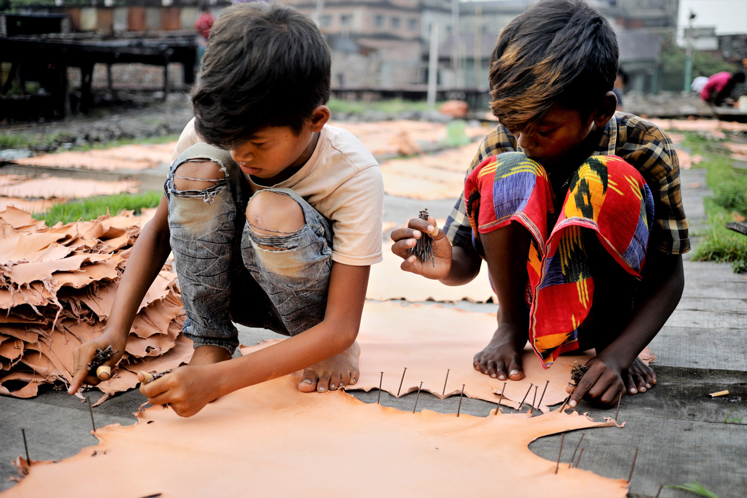 চামড়া শুকানোর কাজ করছে শিশুরা।