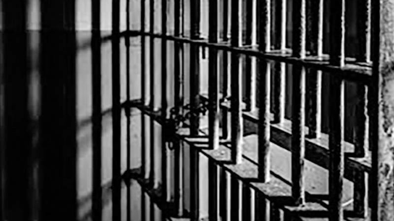 মায়ের সঙ্গে জেল খাটছে ১০ মাসের শিশু