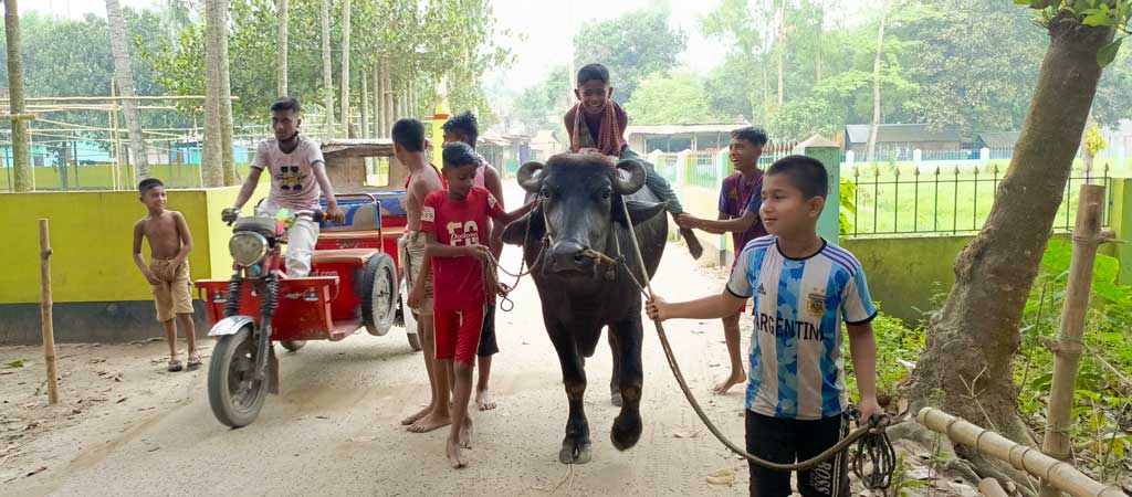 বৈশাখের প্রচণ্ড দাবদাহে মানুষের পাশাপাশি অতিষ্ঠ গবাদিপশুও। তাই রশি ধরে টেনে মহিষকে নদীতে নিয়ে যাচ্ছে শিশু-কিশোরের দল। দস্যি এক শিশু আবার চেপে বসেছে মহিষের পিঠে। রায়পুরার বীরশ্রেষ্ঠ মতিউর নগর গ্রাম থেকে বুধবার দুপুরে তোলা, নরসিংদী, ১৭ এপ্রিল ২০২৪। ছবি: হারুনূর রশিদ