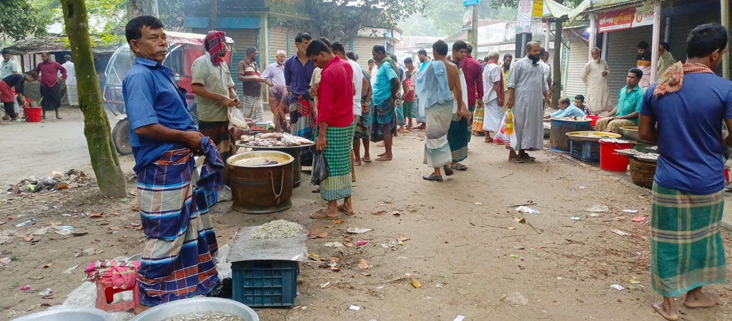 সকাল সকাল জমে উঠে গ্রামের হাট। ক্রেতা-বিক্রেতাদের মধ্যে চলছে দর-দাম। রায়পুরার মুছাপুর পাগলা বাজার থেকে তোলা, নরসিংদী, ৩০ সেপ্টেম্বর ২০২৪। ছবি: হারুনূর রশিদ