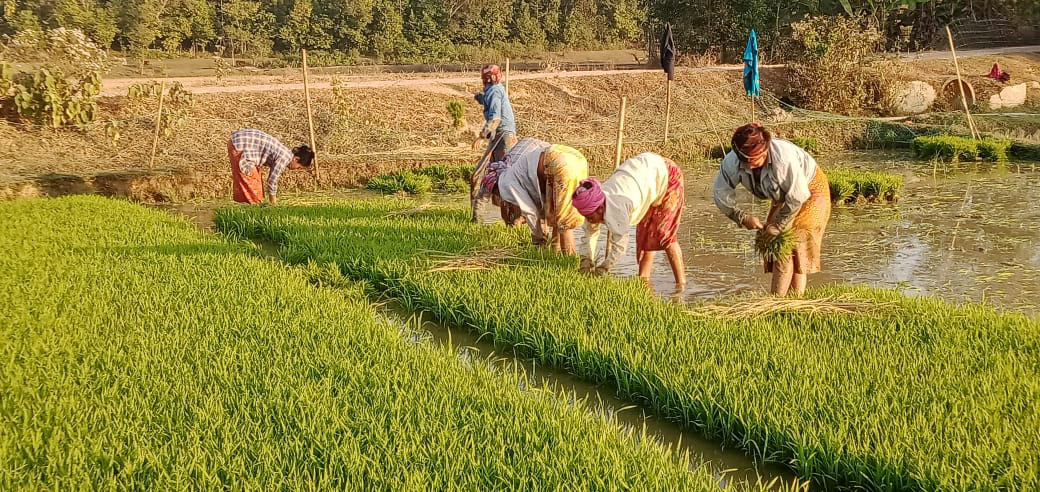 দিনের ছবি (১০ জানুয়ারি, ২০২৩)