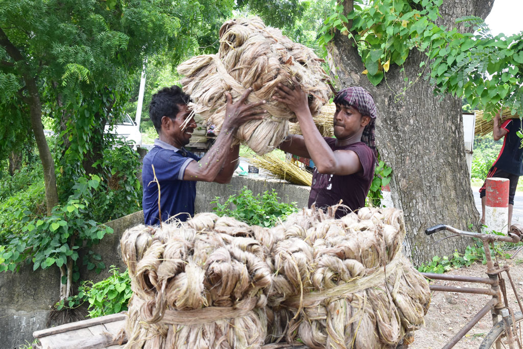 দিনের ছবি (৩১ জুলাই, ২০২৩)