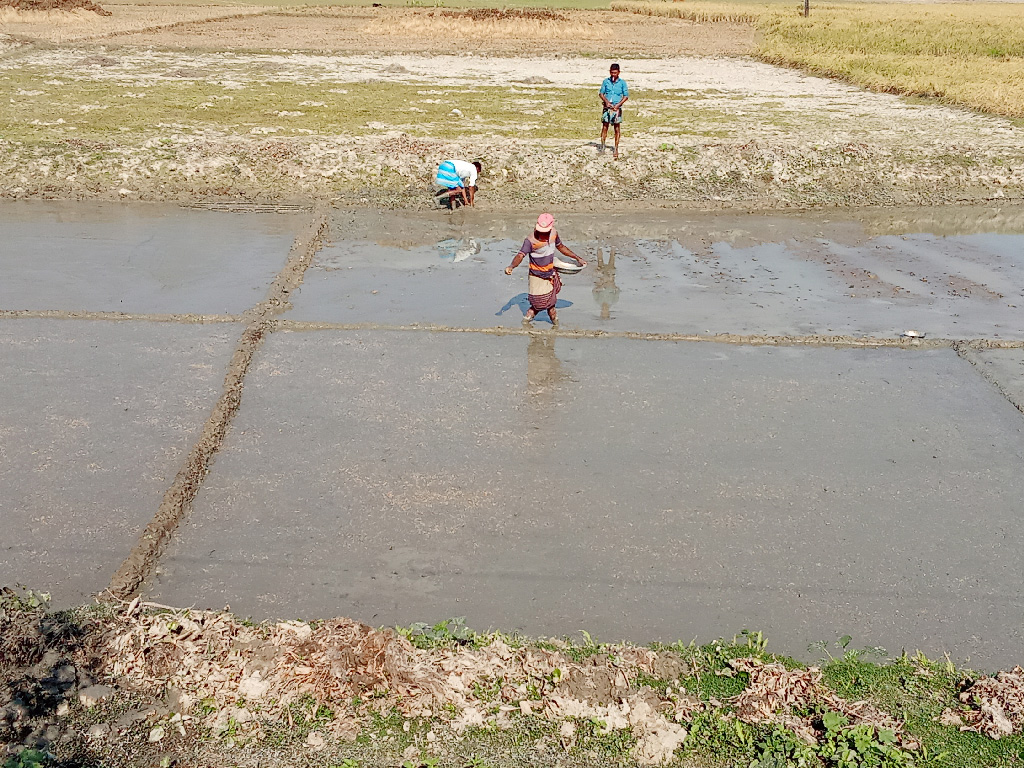 দিনের ছবি (৪ ডিসেম্বর ২০২৪)