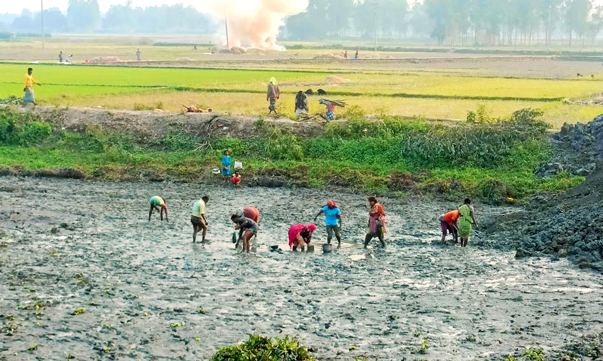 গ্রামের নিচু জমি, ডোবা, পুকুর কিংবা খাল-বিলের পানি প্রায় শুকিয়ে গেলে, সেই অল্প পানি সেচে গ্রামের মানুষ জড়ো হয় মাছ ধরত। ঘিওর উপজেলার বামনা গ্রামে দেখা মেলে এমনই এক দৃশ্যের, মানিকগঞ্জ, ৩০ নভেম্বর ২০২৪। ছবি: আব্দুর রাজ্জাক