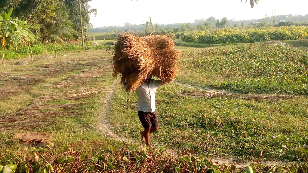 দিনের ছবি (২৭ নভেম্বর ২০২৪)