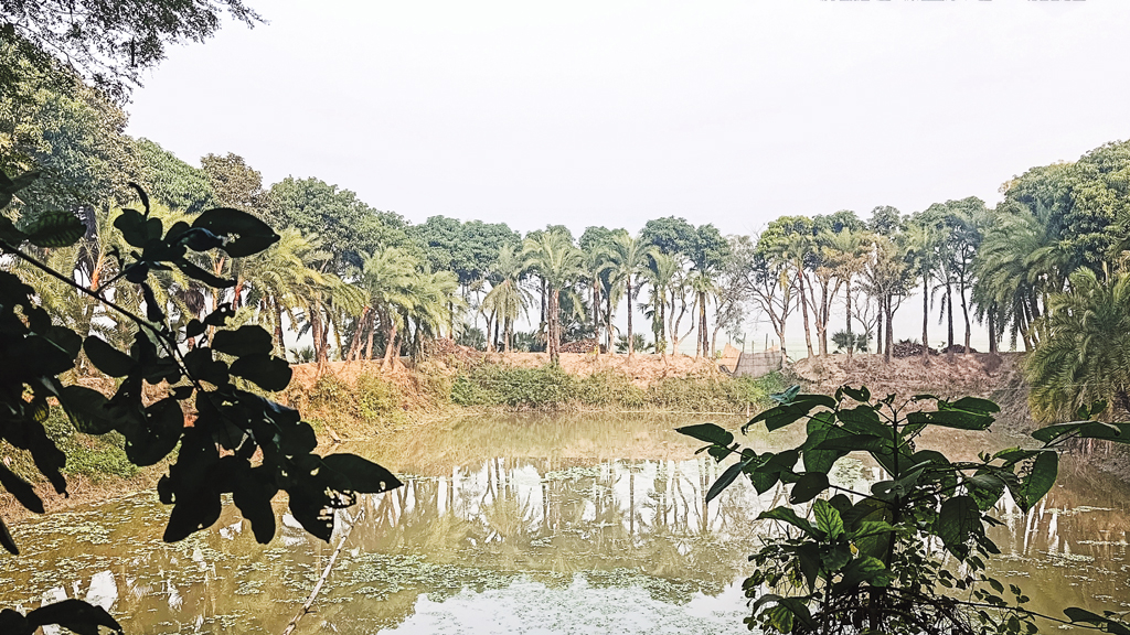 ঝিটকায় এক রাত