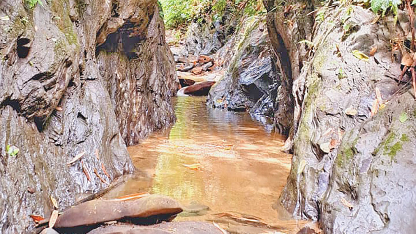 এই বর্ষায় ফটিকছড়ির ঝিরিপথে