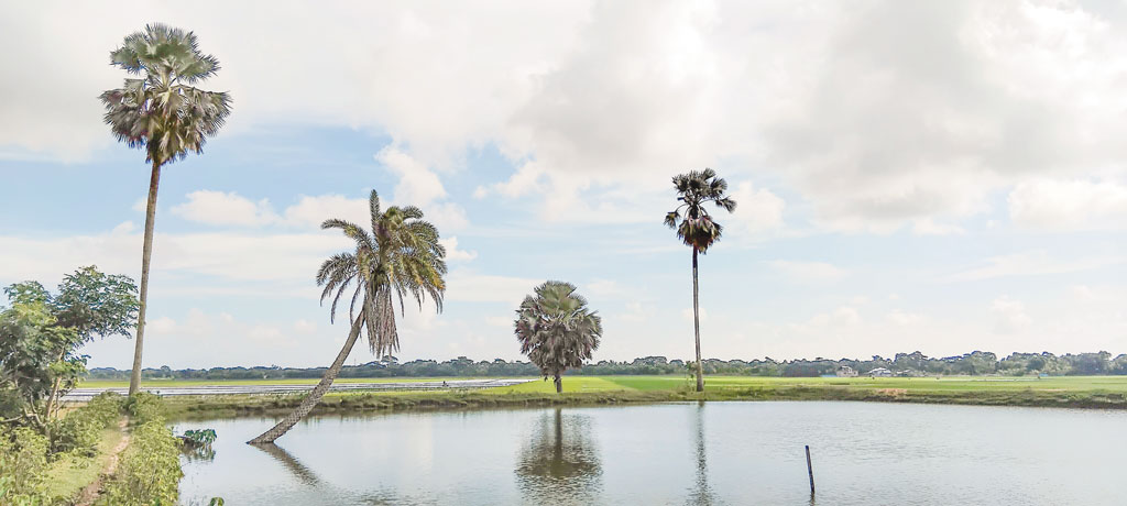 ঘুরে আসুন কাউয়ার চর