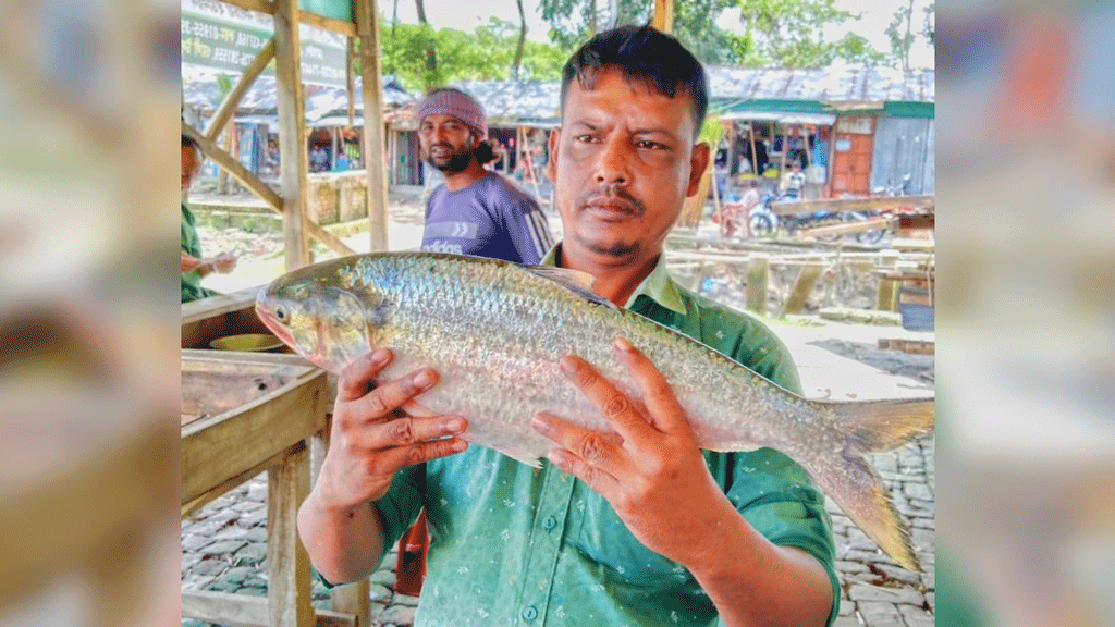 মেঘনায় ধরা পড়ল আড়াই কেজির ইলিশ, সাড়ে ছয় হাজার টাকায় বিক্রি