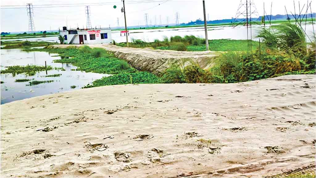 বেলাই বিল গিলছে ভূমিদস্যুরা