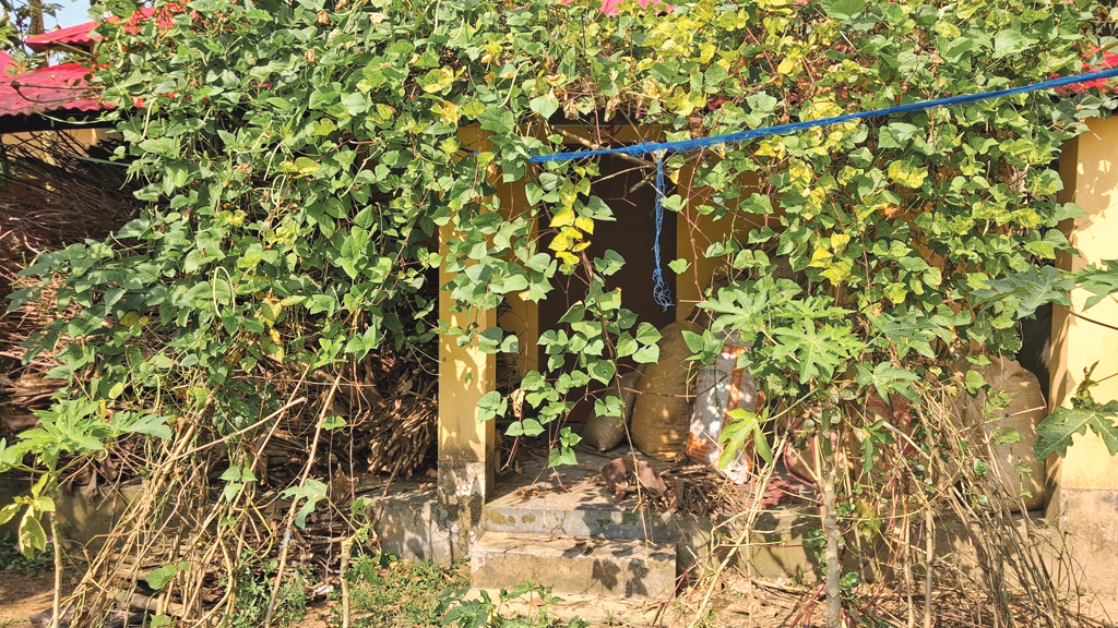 ঢাকার সবচেয়ে বড় আশ্রয়ণ প্রকল্প: ঘর আছে, বাসিন্দা নেই