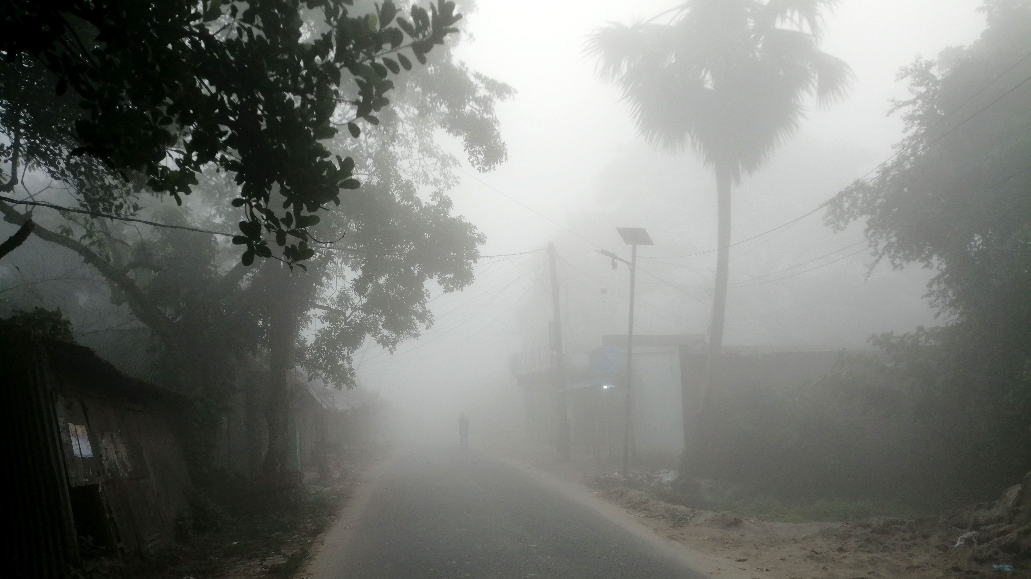 হঠাৎ কুয়াশায় ঢাকা পড়ে শিবচরের পথঘাট 