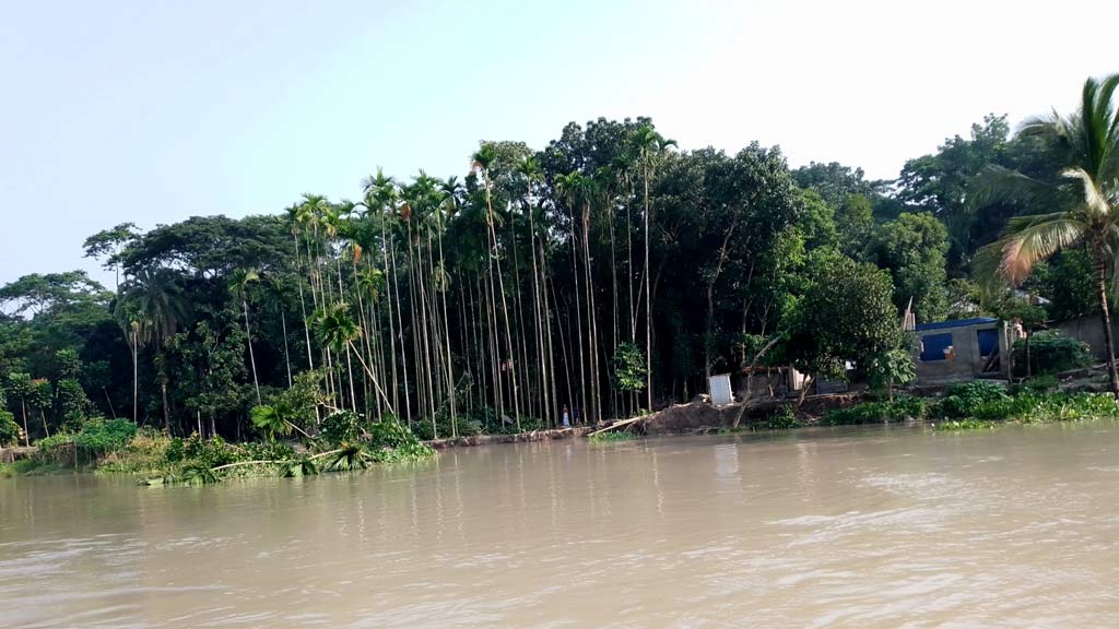 তিন নদীর ভাঙনে দিশেহারা