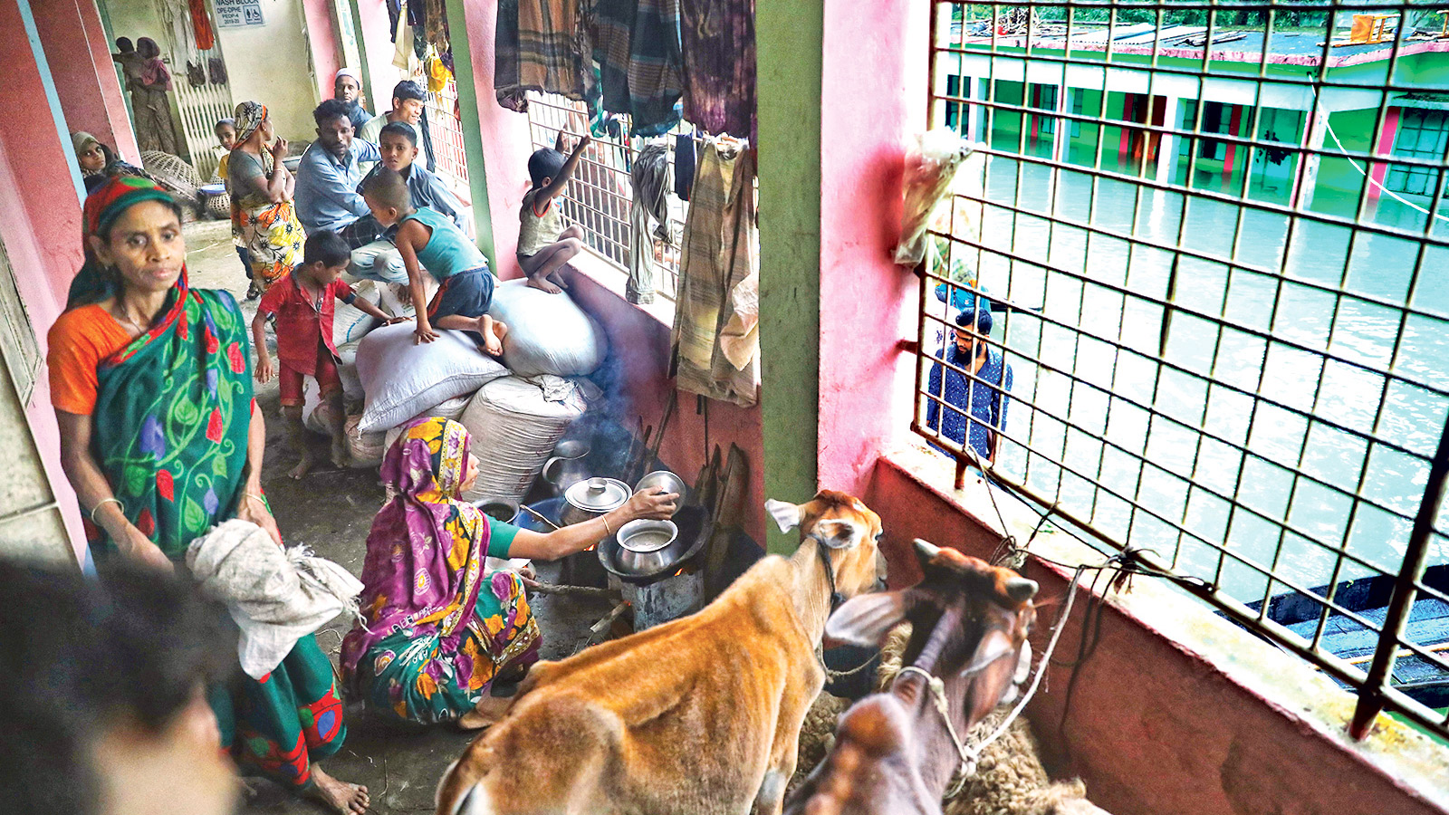 আশ্রয়কেন্দ্রে মানুষ আর গবাদিপশুর গাদাগাদি