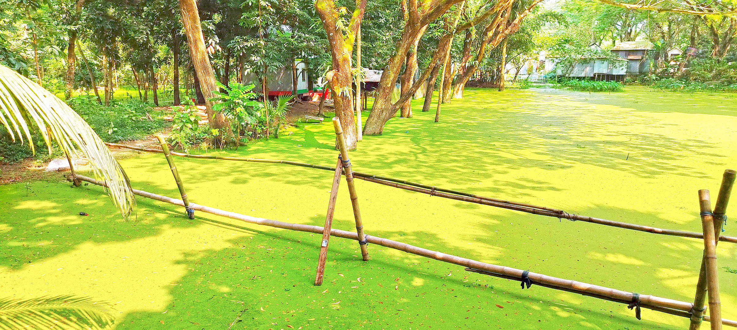 মাদারীপুরের শিবচর: রেলপথে জলাবদ্ধ বাড়িঘর