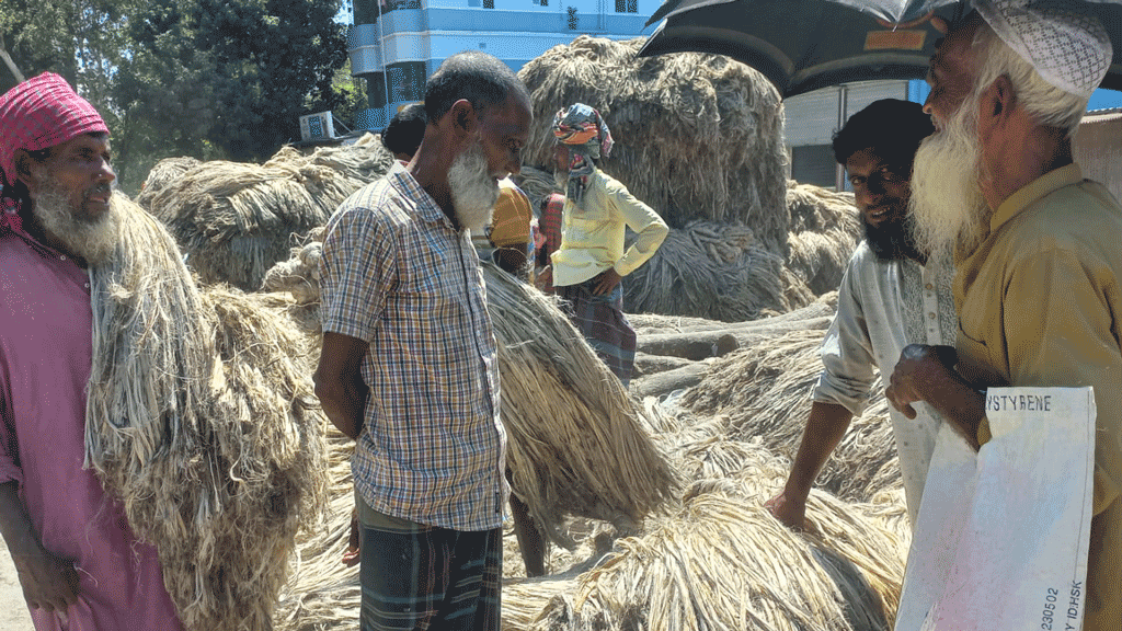 দিনের ছবি (২৯ আগস্ট, ২০২৪)