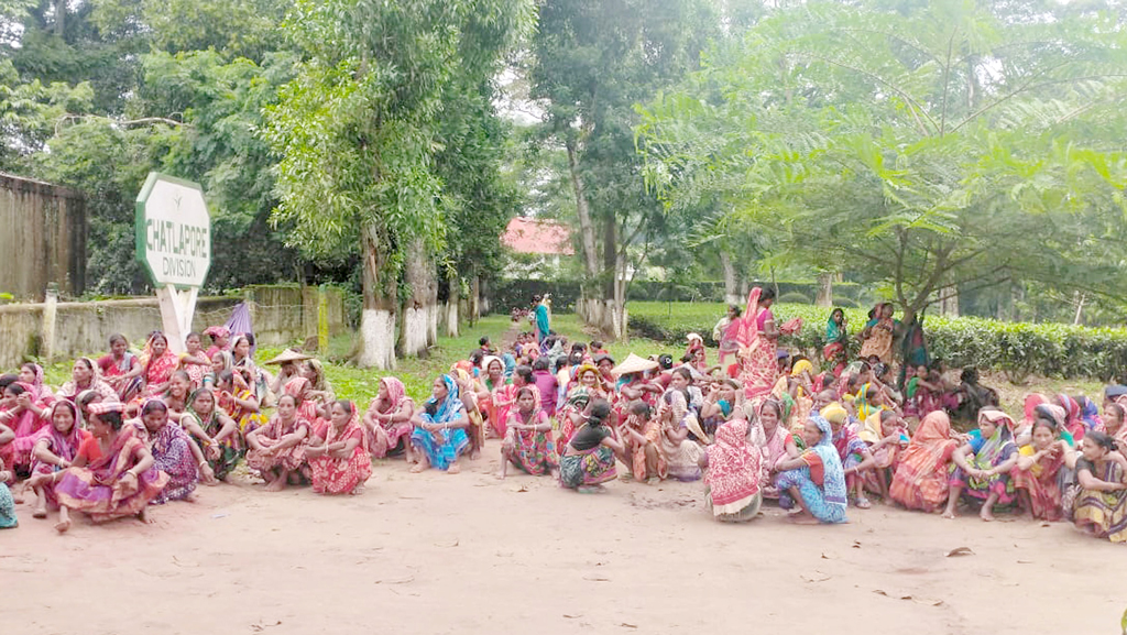 নিরিখ বাড়ানোর প্রতিবাদে নারী চা শ্রমিকদের বিক্ষোভ ও কর্মবিরতি