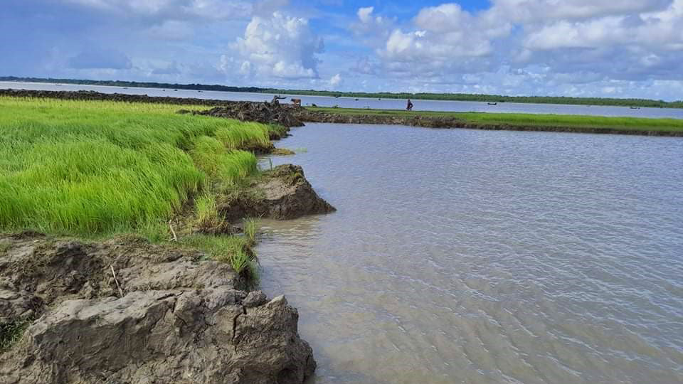বিষখালির মাটি ইটভাটায়