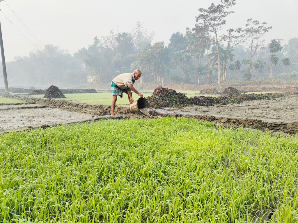 দিনের ছবি (১২ ডিসেম্বর, ২০২২) 