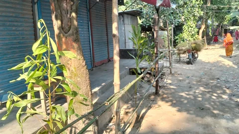 ধুনটে আদালতের নিষেধাজ্ঞা অমান্য করে ব্যবসাপ্রতিষ্ঠানের সামনে বেড়া দেওয়ার অভিযোগ