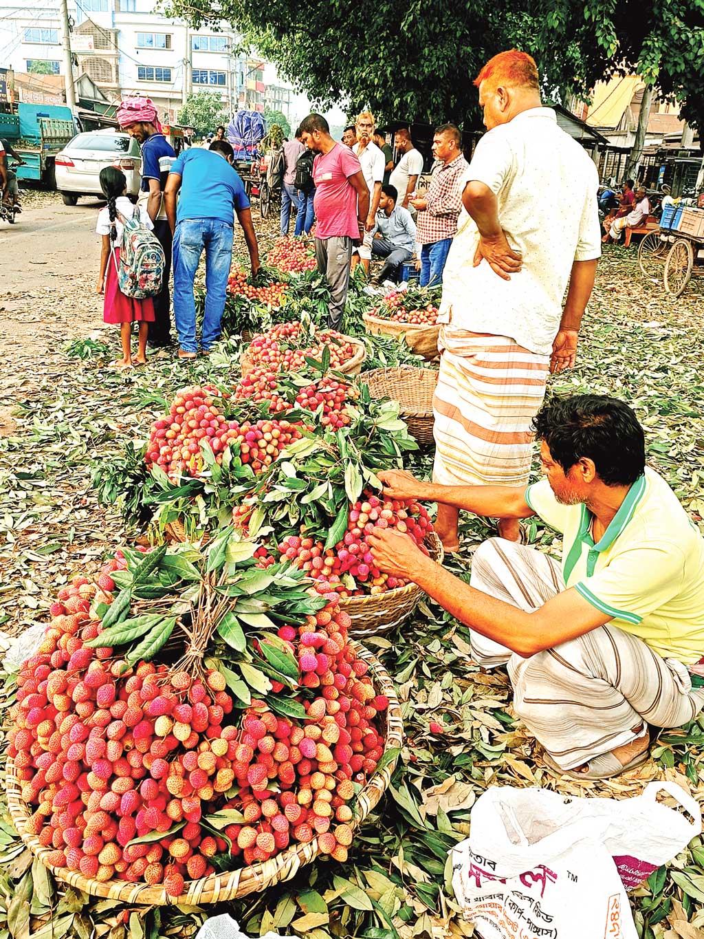 পাবনার ঈশ্বরদী: লিচুর সরবরাহ বাড়লেও ক্রেতা কম