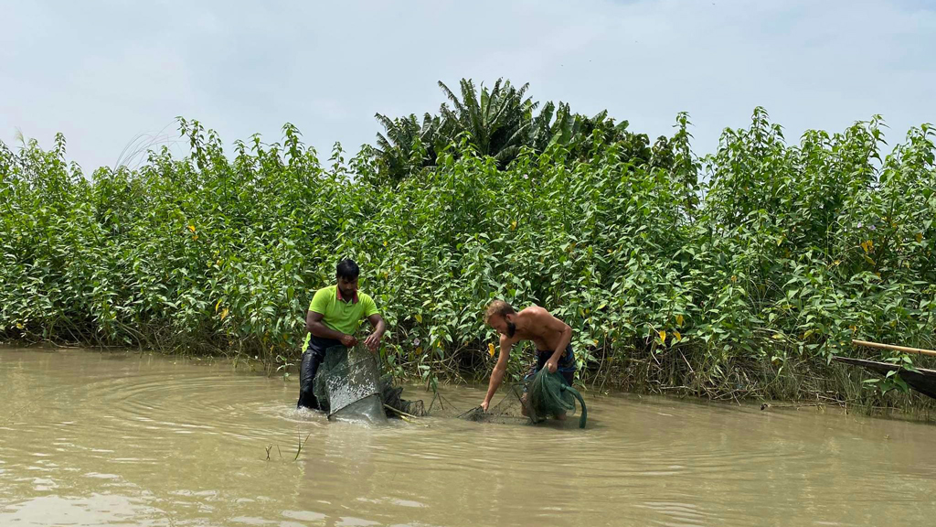 নদী খালে নিষিদ্ধ জাল ধ্বংস হচ্ছে জলজ প্রাণী