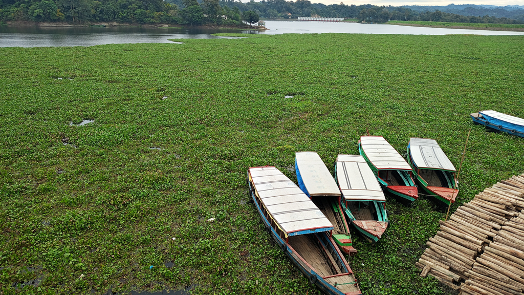 হরতাল-অবরোধে পর্যটক নেই কাপ্তাইয়ে,  দুর্দশায় বোটমালিক ও চালকেরা