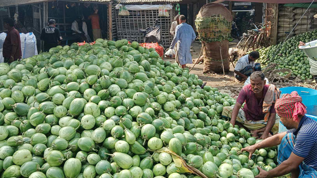 অবরোধে ন্যায্যমূল্য না পাওয়ায় বিপাকে শৈলকুপার সবজিচাষিরা