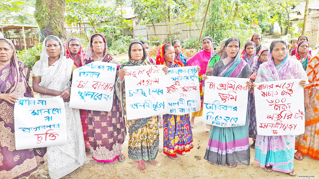 এক প্যাকেট বেনসন আর চা-শ্রমিকের মজুরি