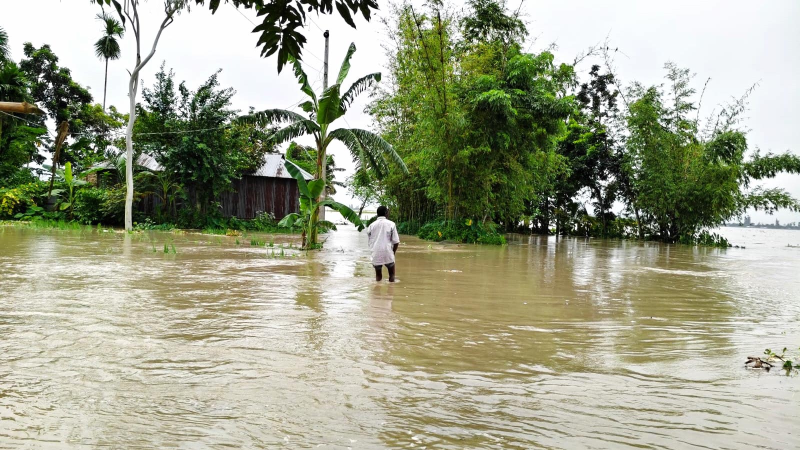 বৃষ্টি ও ঢলে কুড়িগ্রামের নিম্নাঞ্চল প্লাবিত, পানিবন্দী ৫ শতাধিক পরিবার 