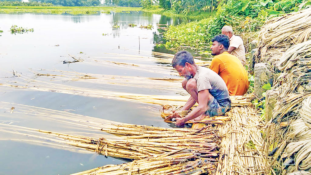 সোনালি আঁশে দ্বিগুণ লাভে উচ্ছ্বাস