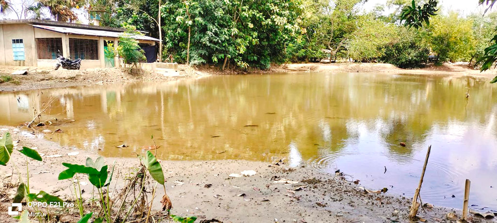 মুহুরি নদীর বাঁধে ভাঙনের কারণে পলি জমে ভরাট ৫০ পুকুর 