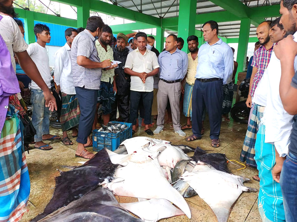 জব্দ সামুদ্রিক মাছ নিলামে বিক্রি