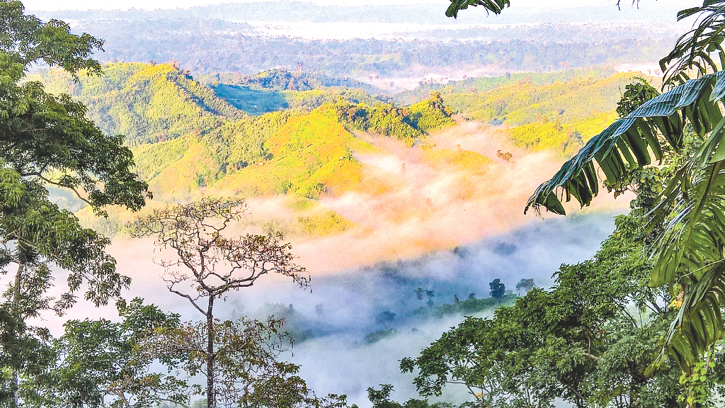 এই  সময়ে সাজেক