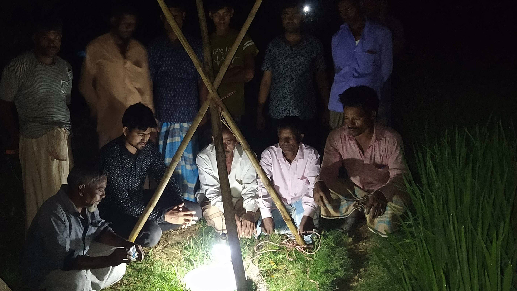 পোকা দমনে কৃষকের বন্ধু ‘আলোক ফাঁদ’