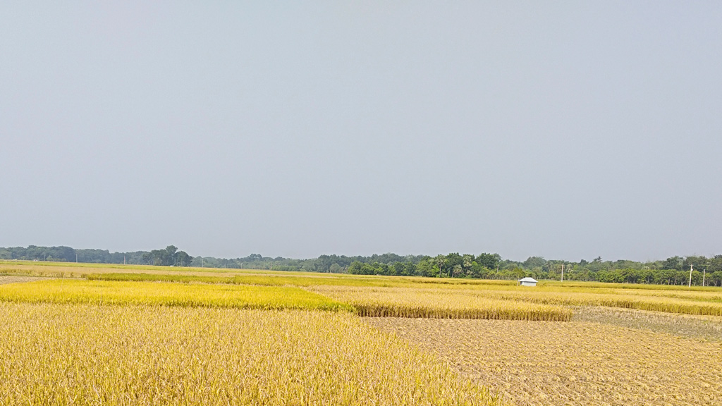 লক্ষ্য পূরণ নিয়ে শঙ্কা