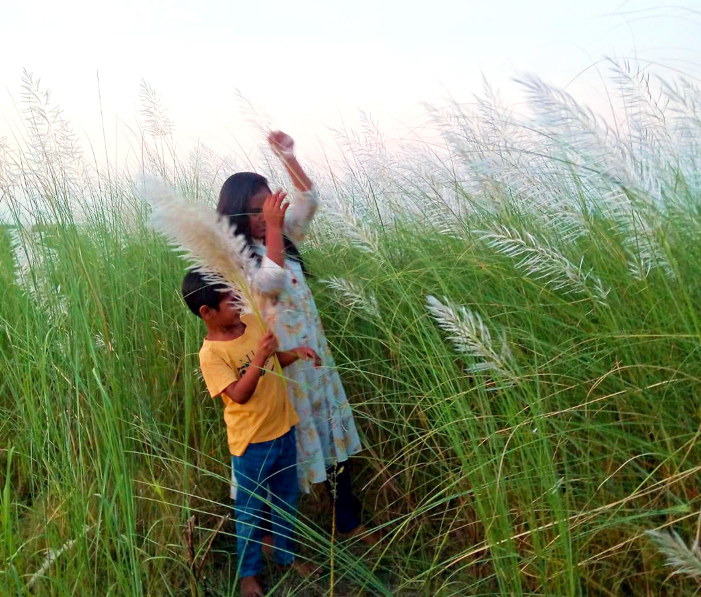 কাশফুলের সুবাস নেই। মালাও গাঁথা যায় না। ফুলদানিতেও শোভা পায় না। তবু শরতে-হেমন্তে মাঠে, নদীর পাড়ে কিংবা চরের সাদা কাশবনের মনোরম সৌন্দর্য মানুষকে মোহাবিষ্ট করে। এমনি এক কাশবনে খেলা করছে দুই শিশু। জাফরগঞ্জের যমুনা নদীর চর, মানিকগঞ্জ, ১৯ অক্টোবর ২০২৩। ছবি: আব্দুর রাজ্জাক