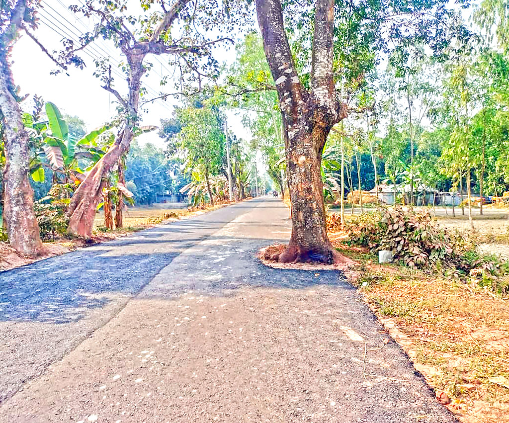 লালমনিরহাটের পাটগ্রাম: কাটার অনুমতি না পেয়ে গাছ রেখেই সড়ক প্রশস্ত