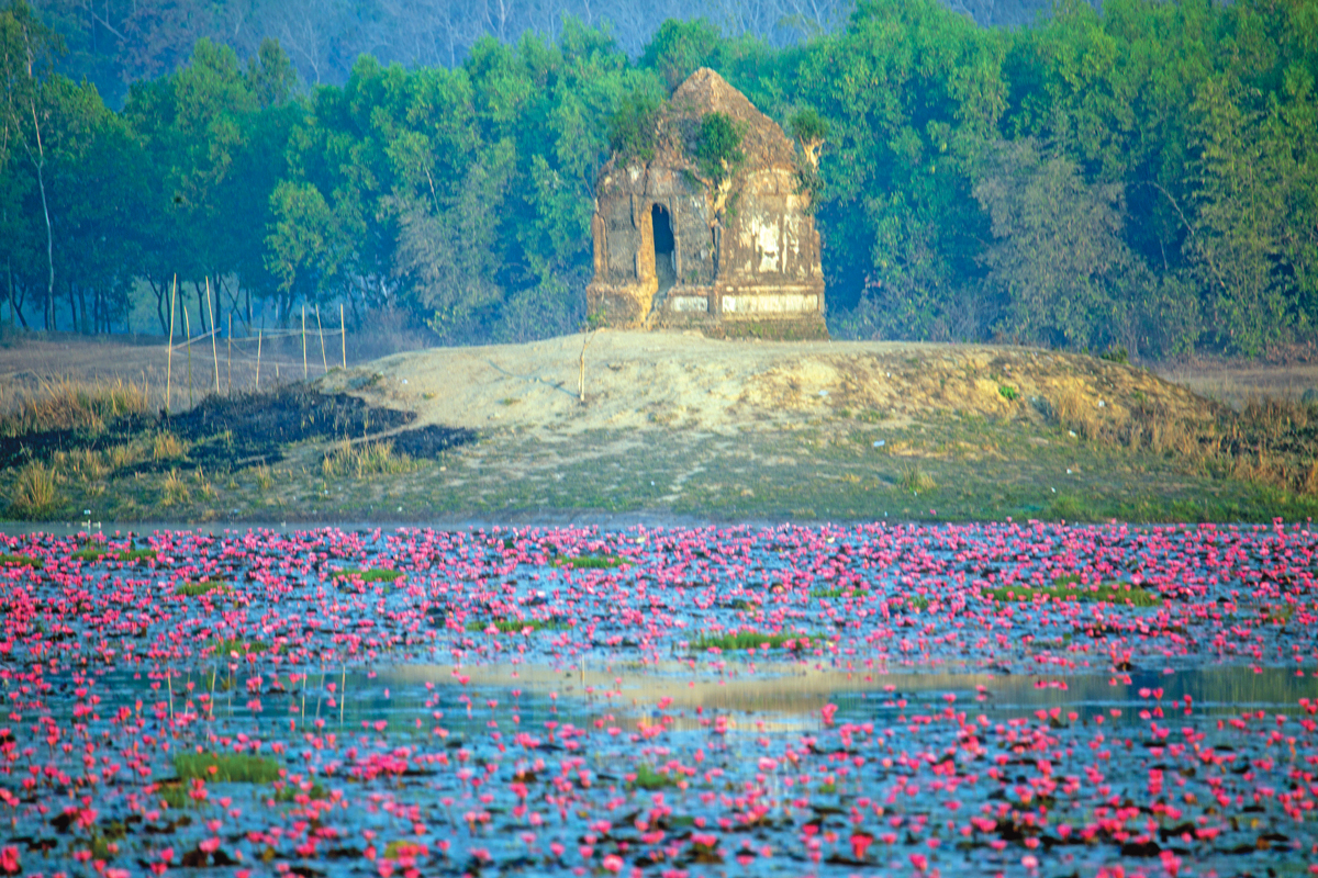 শাপলা বিলের রহস্যময় সমাধিসৌধ