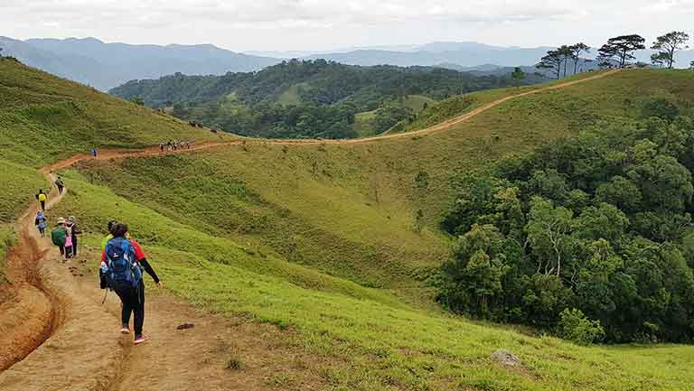 দক্ষিণ ভিয়েতনামের সেরা ৫ হাইকিং ট্রেইল