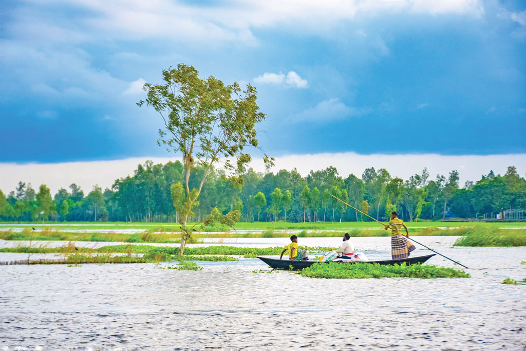 মাহিনের ক্যামেরার লেন্সে প্রাণ ও প্রকৃতি