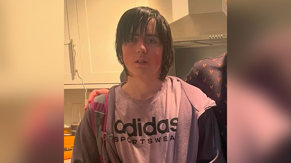 ডিপসিকের পরামর্শে মাকে হাতুড়িপেটা করে হত্যা করেন ছেলে