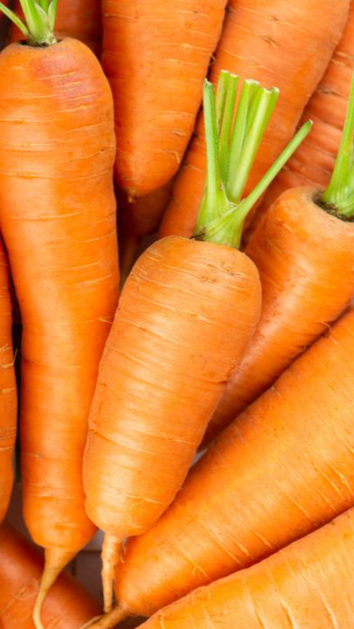 ফ্রিজে শীতের ফল ও সবজি যেভাবে সংরক্ষণ করবেন