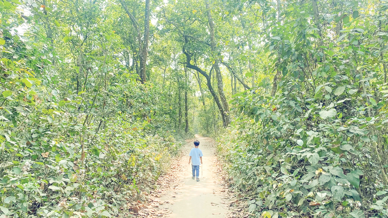 নর্ত নদের তীরে সিংড়া বন