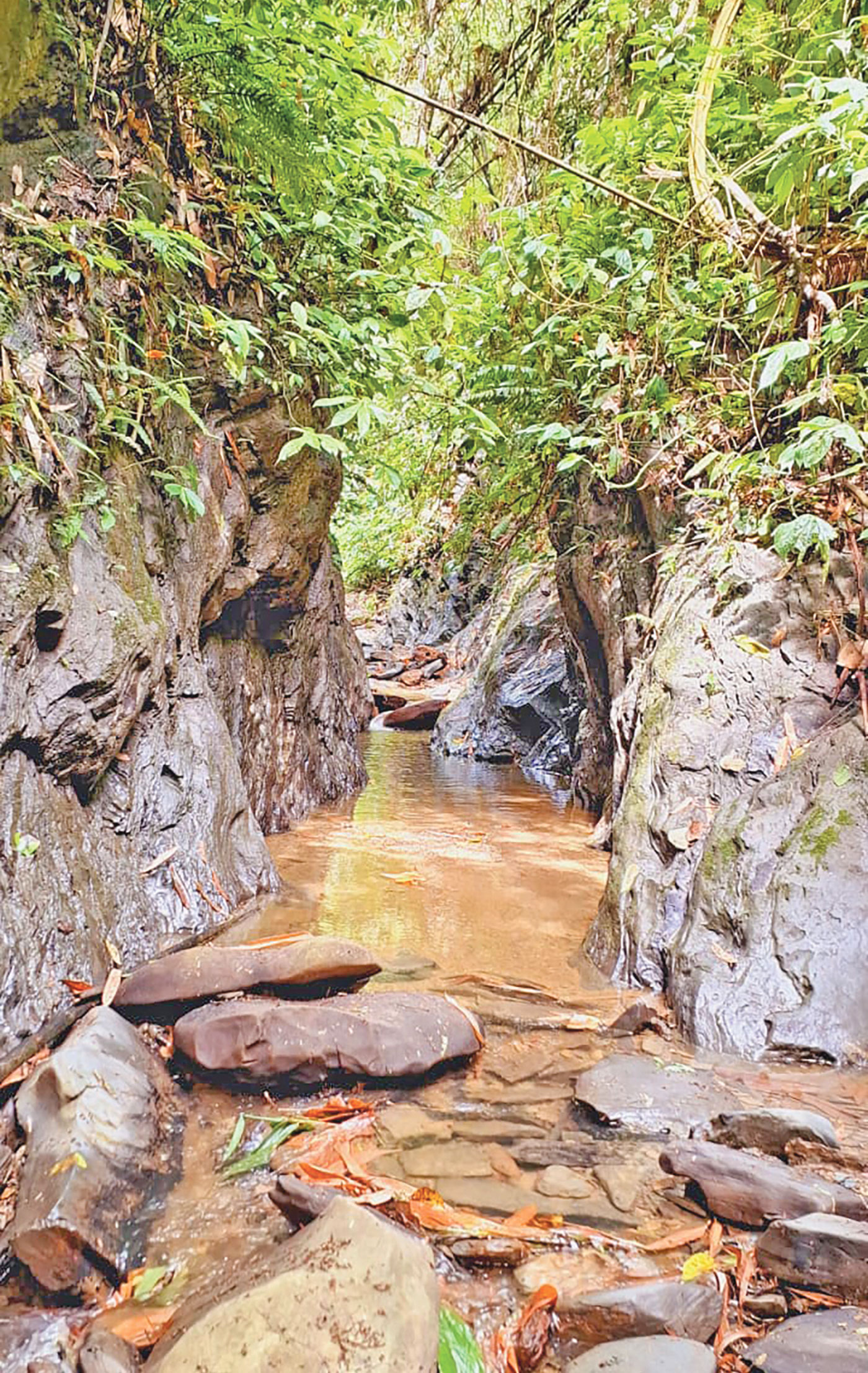 এই বর্ষায় ফটিকছড়ির ঝিরিপথে