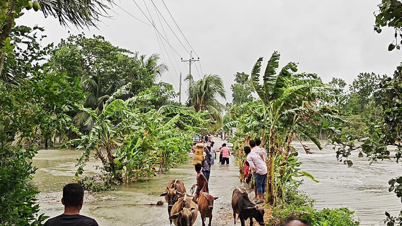 পানিবন্দী লোকজন তাদের গবাদিপশু, শুকনো খাবারসহ প্রয়োজনীয় আসবাবপত্র আশ্রয়কেন্দ্রে নিয়ে যাচ্ছেন। চরমানিকা ইউনিয়ন, চরফ্যাশন, ভোলা, ২৫ মে ২০২৪। ছবি: আজকের পত্রিকা