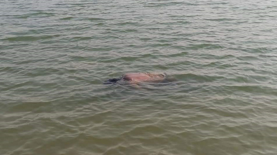 শিবচরে নদী থেকে যুবকের লাশ উদ্ধার