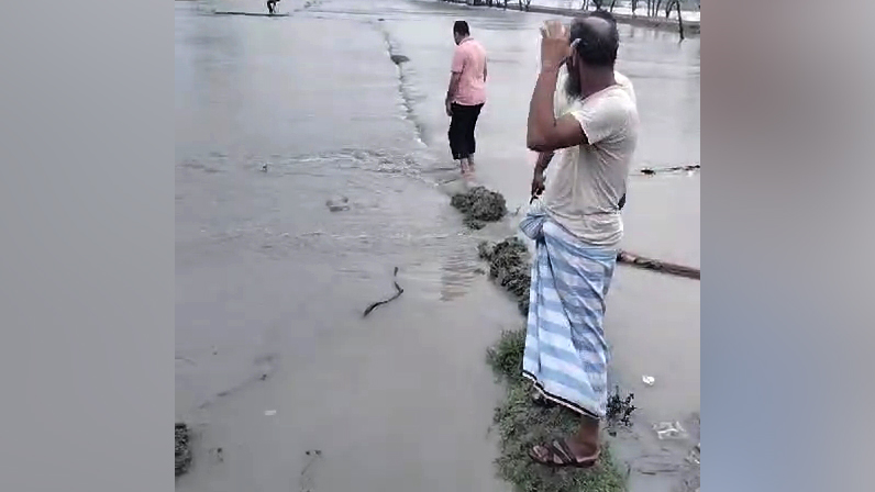 সুবর্ণচরে কাঁচা ঘরবাড়ি, গাছপালা ও ফসলের ব্যাপক ক্ষতি