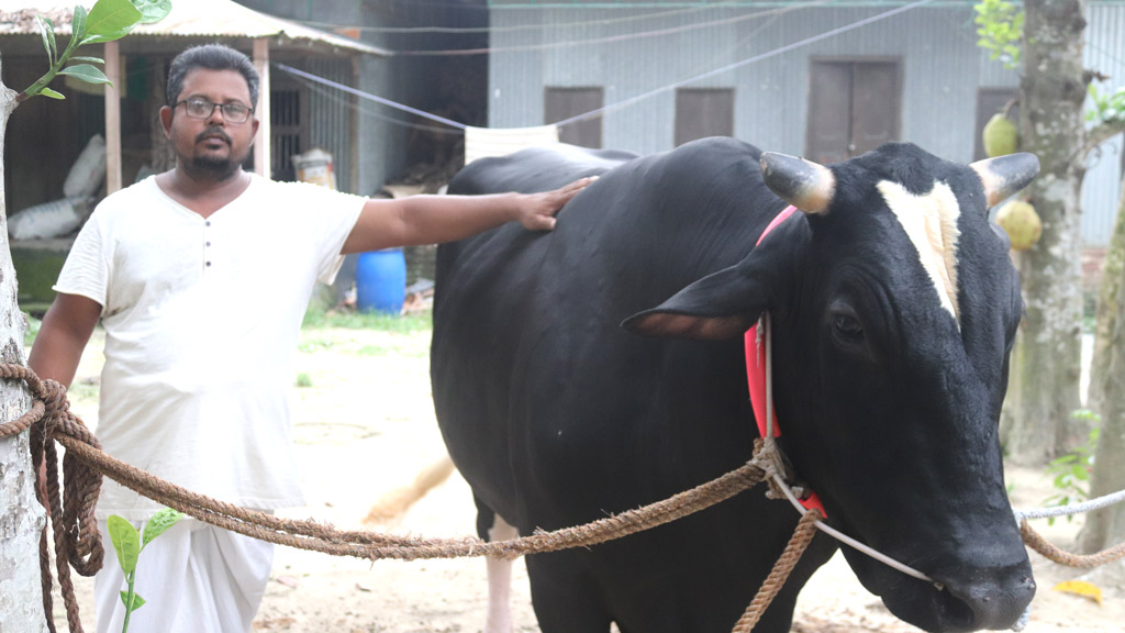 ৯০০ কেজির ‘বুলডোজার’ ঘিরে স্বপ্ন দেখছেন সাদিক