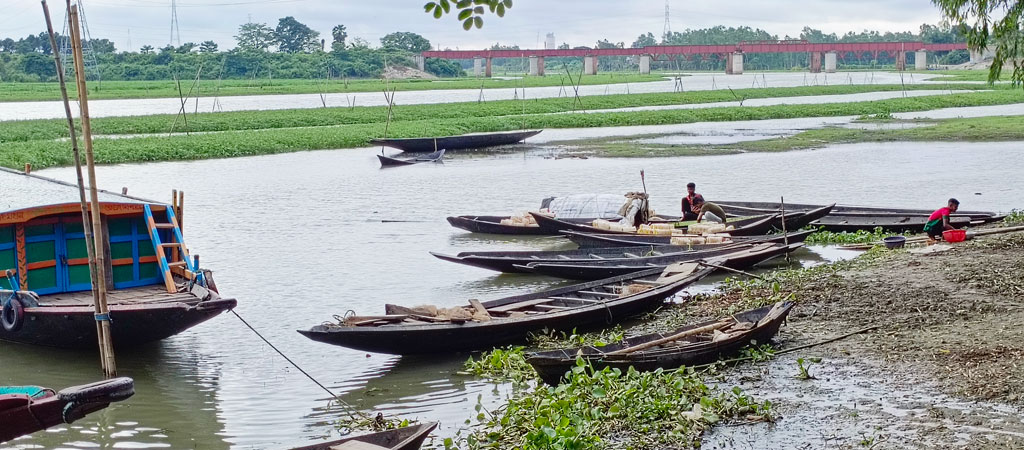 পুরাতন ব্রহ্মপুত্র নদ থেকে মাছ ধরার ফাঁদ নৌকায় তুলছেন জেলেরা। তারপর মাছ সংগ্রহ করে বাজারে নিয়ে যাবেন বিক্রি করতে। রায়পুরার মুছাপুরের বীরশ্রেষ্ঠ মতিউর নগর গ্রাম থেকে তোলা, নরসিংদী, ১৮ আগস্ট ২০২৪। ছবি: হারুনূর রশিদ